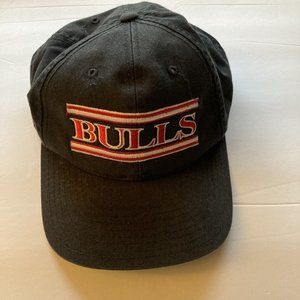 True Vintage Chicago Bulls SnapBack Hat NBA GREAT condition 1990’s Jordan Era